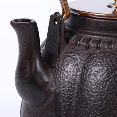 Pumpkin Cast iron Teapot Oxidized Uncoated  Tea Iron