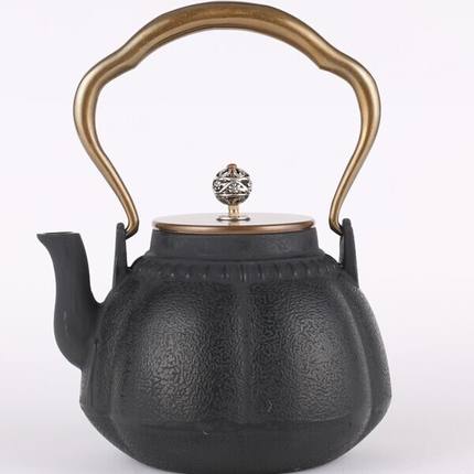 Pumpkin Cast iron Teapot Oxidized Uncoated  Tea Iron