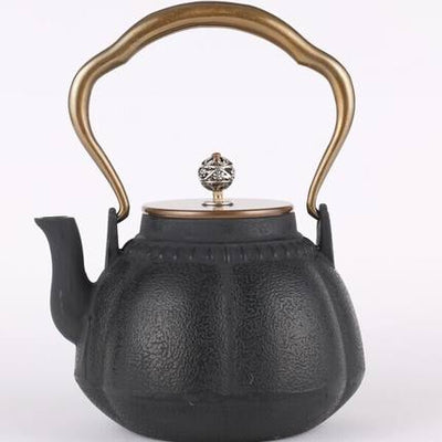 Pumpkin Cast iron Teapot Oxidized Uncoated  Tea Iron
