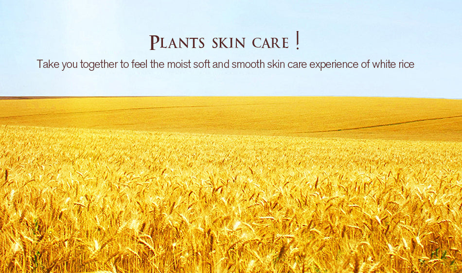 Collagen Shrink  Pores Hyaluronic Acid Serum White Rice Skin