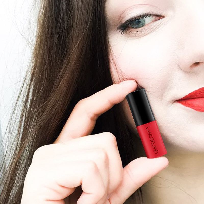 Waterproof  Lip Gloss Paint Pigments Long Lasting Wine Red Liquid Lipstick Vivid Matte Sexy Women Lip Cosmetic beauty